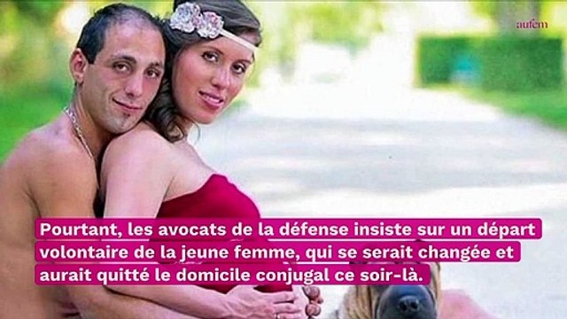 Affaire Jubillar : la piste du départ volontaire de Delphine à nouveau évoquée