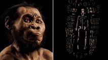 Homo naledi, une nouvelle espèce du genre humain découverte en Afrique du Sud ?