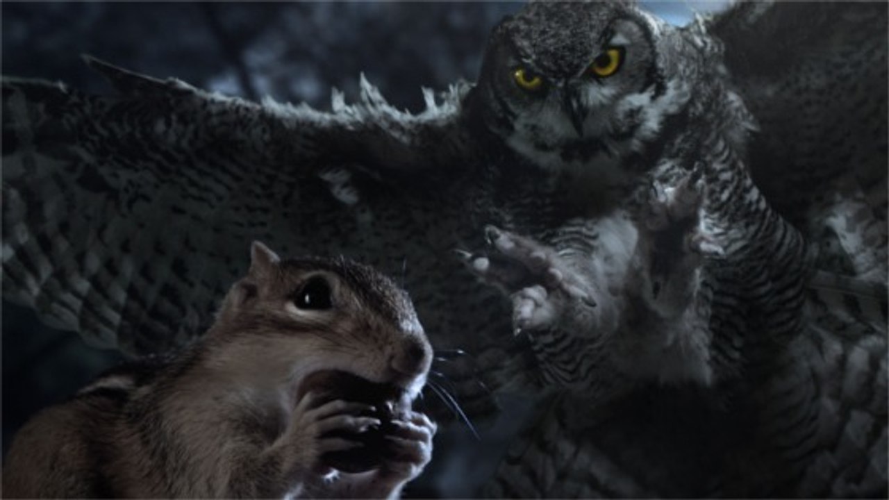 "Mini-Héros", les aventures géantes des petits animaux arrivent à la Géode