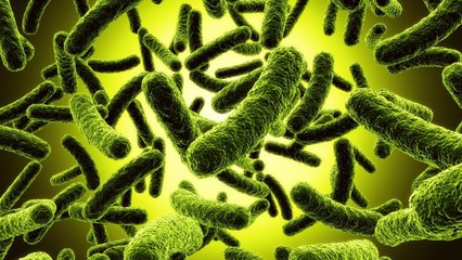 Nous sommes tous entourés de notre propre "nuage de microbes", selon une étude