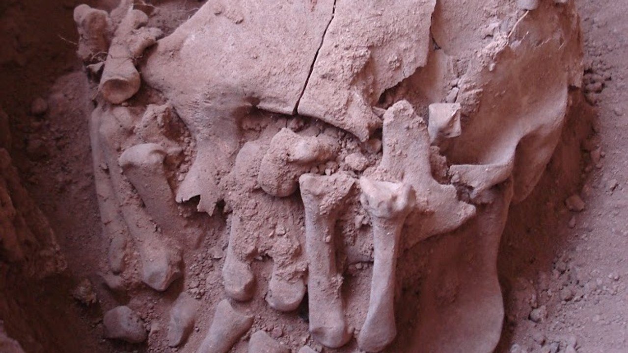 Des archéologues découvrent le plus vieux cas de décapitation du Nouveau Monde