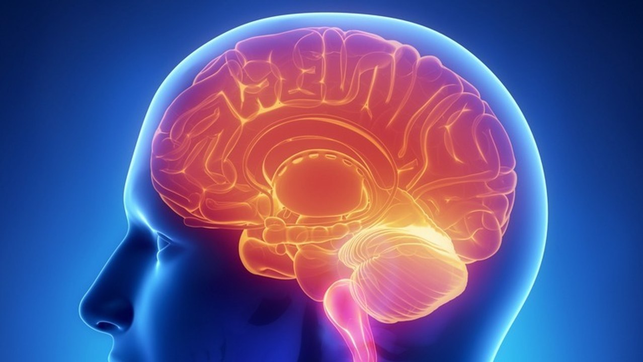 Des paralysés parviennent à contrôler le curseur d'un ordinateur uniquement par la pensée