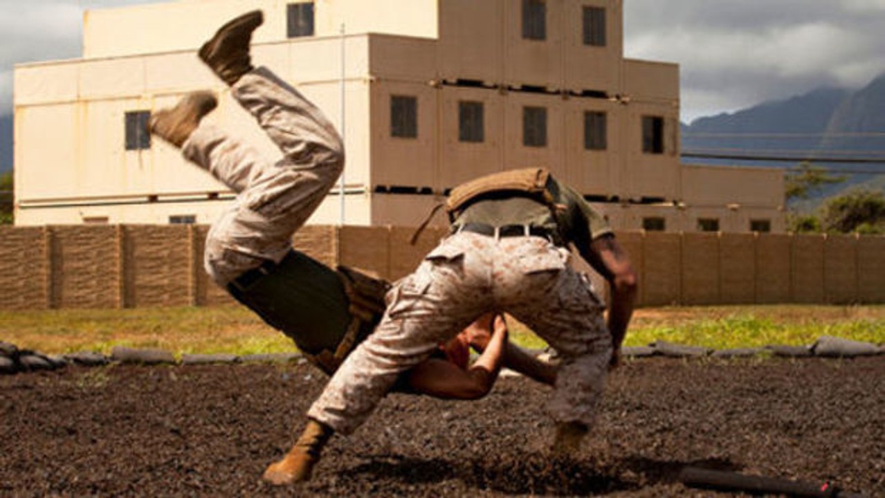 Close combat: beeindruckende demonstration des 13. französischen fallschirmjägerregiments