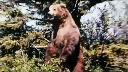 Ayı Adam Orijinal Fragman