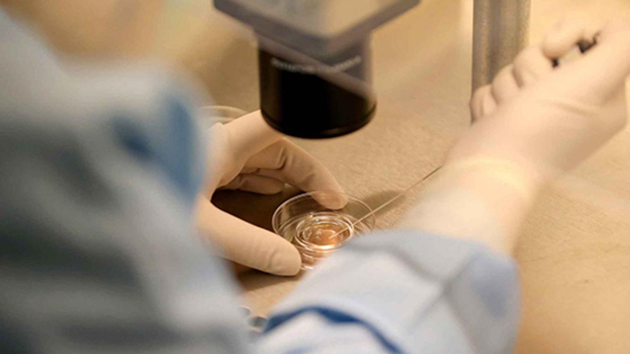 Cet homme a découvert que le vrai père de son fils était son frère jumeau jamais venu au monde