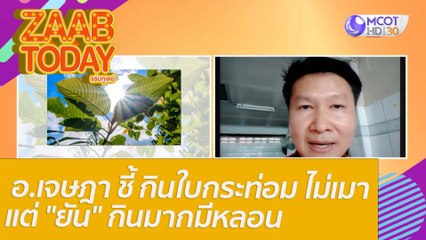 อ.เจษฎา ชี้ กินใบกระท่อม ไม่เมา แต่ "ยัน" กินมากมีหลอนคนป่วยทางจิตห้ามกิน : แซ่บทูเดย์ ( 1ก.พ. 65) OnAir