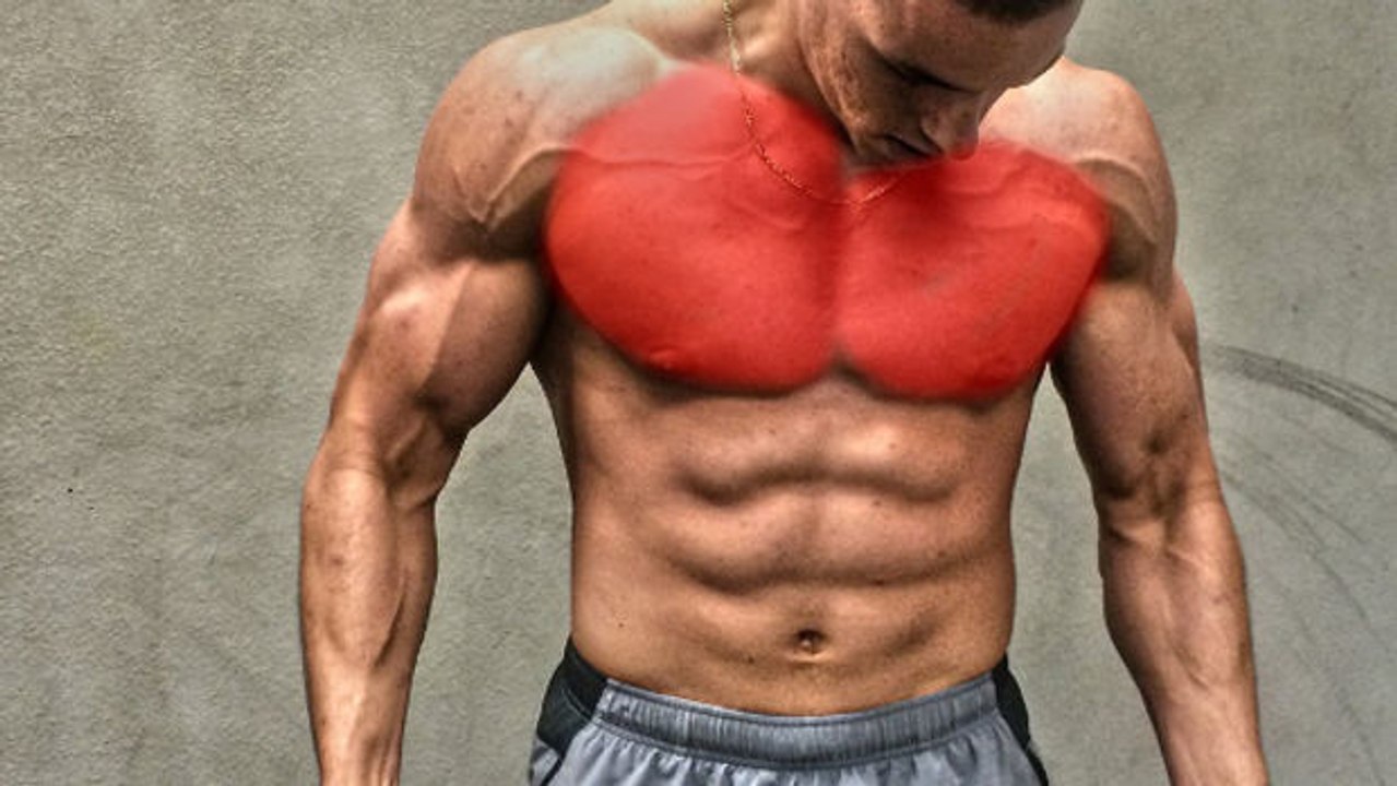 Dein ideales Training für eine massive und starke Brustmuskulatur