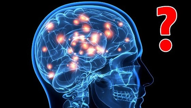 À quoi ressemble une pensée dans votre cerveau ?