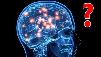 À quoi ressemble une pensée dans votre cerveau ?