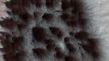 D'étranges motifs observés à la surface de Mars par une sonde de la NASA