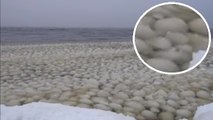 D'étonnantes vagues de boules de neige filmées à la surface d’un lac américain