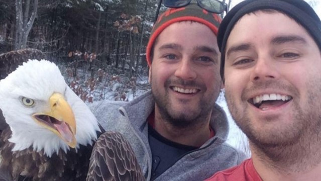 Deux Canadiens sauvent un pygargue pris dans un piège en pleine forêt