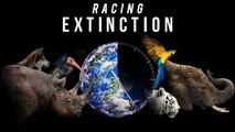 Racing Extinction, le documentaire qui dévoile comment l'humanité pousse la Terre vers une 6e extinction