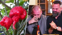 Deux hommes s'amusent à goûter le Carolina Reaper, le piment le plus fort du monde