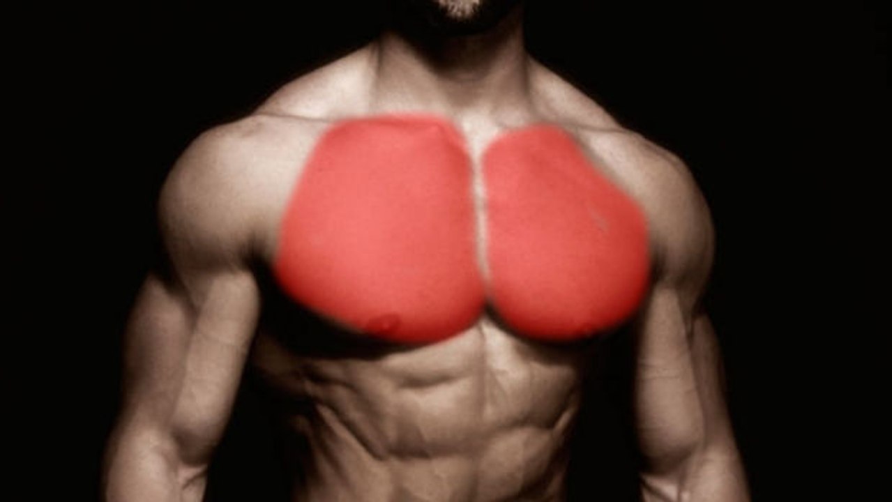Perfektes training für die gesamte brustmuskulatur