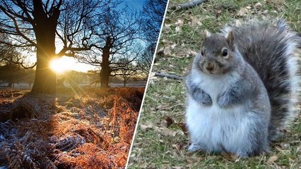 L’inattendue conséquence des températures douces de l'hiver