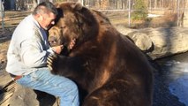 L'incroyable affection entre un énorme ours kodiak et l'homme qui l'a sauvé