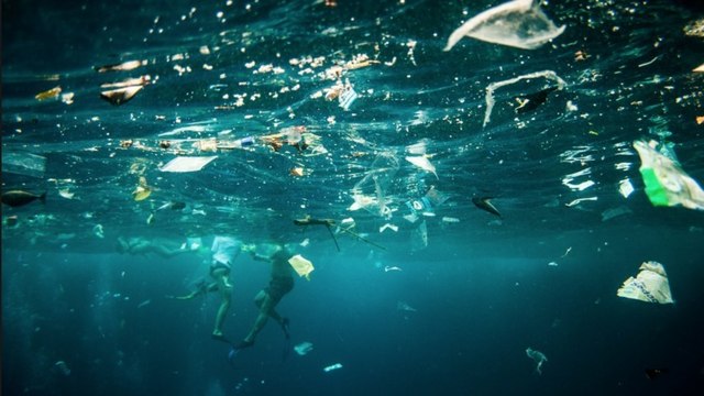 En 2050, il y aura plus de plastique dans les océans que de poissons, alerte un rapport