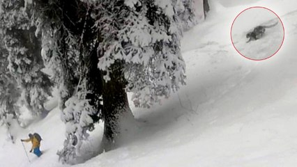 Des skieurs croisent la route d'un léopard des neiges en Inde