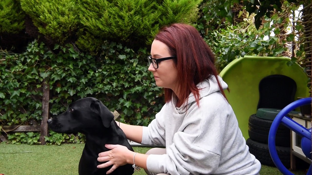 Hero driving instructor rescues dog from drowning at Preston docks