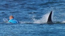 Mick Fanning: Mitten im Wettkampf von einem Hai angegriffen!