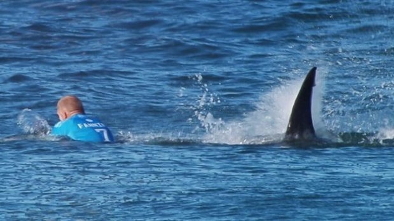 Mick fanning: mitten im wettkampf von einem hai angegriffen!