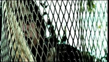 İlahların Aşkı Orijinal Fragman