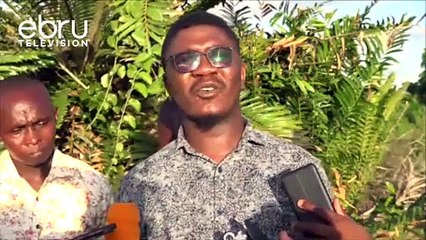 Kilifi Governor Amason Kingi Says PAA Is The Savior Of Coastal Region