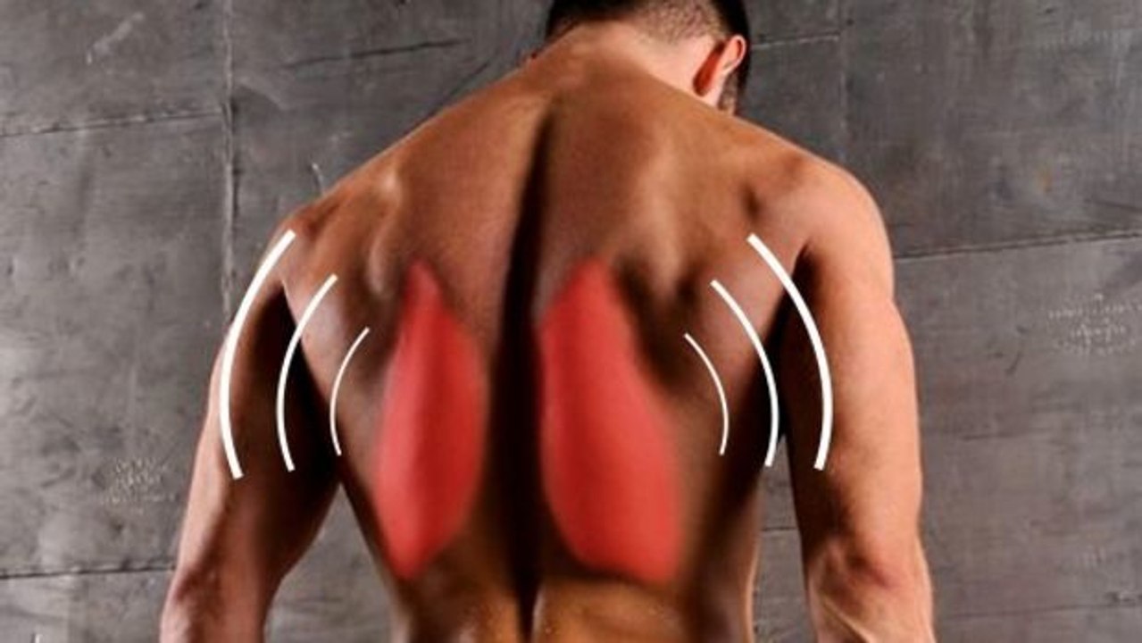 Ein einfacher Trick, um seine Rückenmuskulatur zu stärken