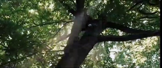 Robin Hood Orijinal Fragman (2)