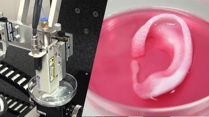 Des chercheurs créent une imprimante 3D capable de fabriquer des tissus et organes humains