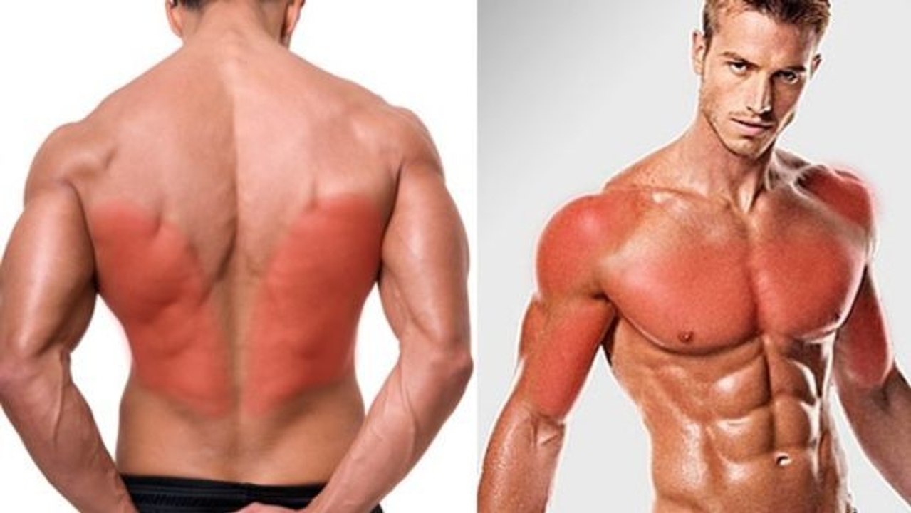 Oberkörper-Training: Alle Muskeln in einer einzigen Session