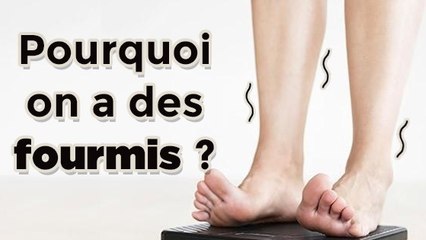 Pourquoi a-t-on parfois des fourmis dans les jambes ?