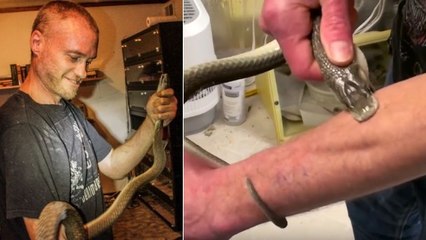 Tim Friede, l'homme qui veut s’auto-immuniser en se laissant mordre par des serpents venimeux