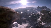 Embarquez sur le dos d'un aigle au-dessus des Alpes avec cette splendide vidéo