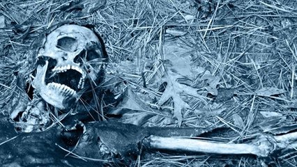 Qu'arrive-t-il à notre corps après la mort ?