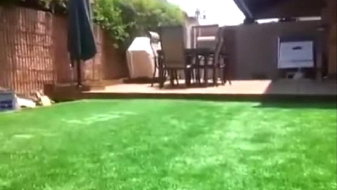 Entdecken Sie die erstaunliche Überraschung, die sich unter dieser Wiese versteckt