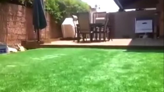 Entdecken Sie die erstaunliche Überraschung, die sich unter dieser Wiese versteckt