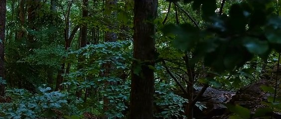 Açlık Oyunları Orijinal Teaser