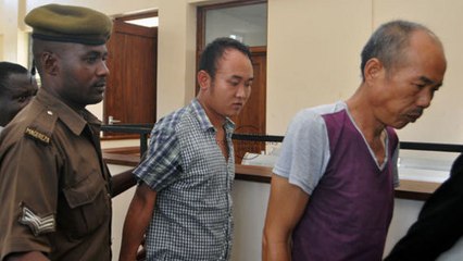 Deux Chinois condamnés à 30 ans de prison pour le massacre de 226 éléphants