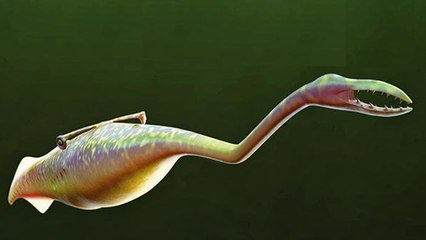 Le mystère du monstre de Tully enfin résolu 60 ans après