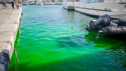 Un étrange liquide vert repéré dans le Vieux-Port de Marseille inquiète les habitants