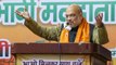 SP, BSP govts pushed Uttar Pradesh to ‘BIMARU’ state category: Amit Shah in Aligarh