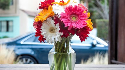Comment préserver des fleurs coupées plus longtemps ? La science vous aide