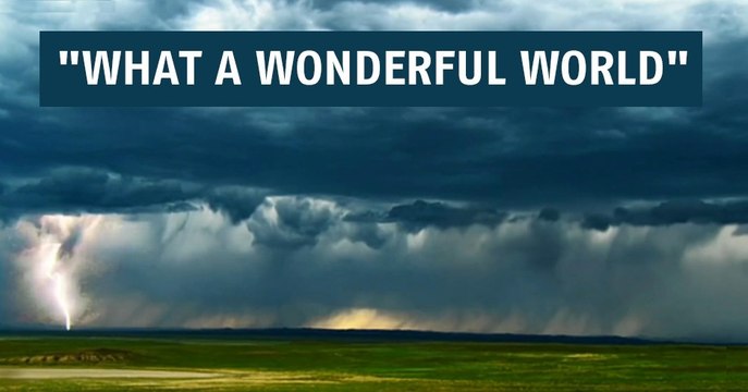 What a Wonderful World : une splendide vidéo rend hommage à la nature et ses habitants