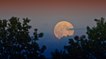 Pour la première fois depuis 50 ans, le solstice d'été va coïncider avec la Lune Rose