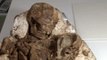 Des archéologues découvrent le fossile d'une mère tenant son enfant depuis 4800 ans