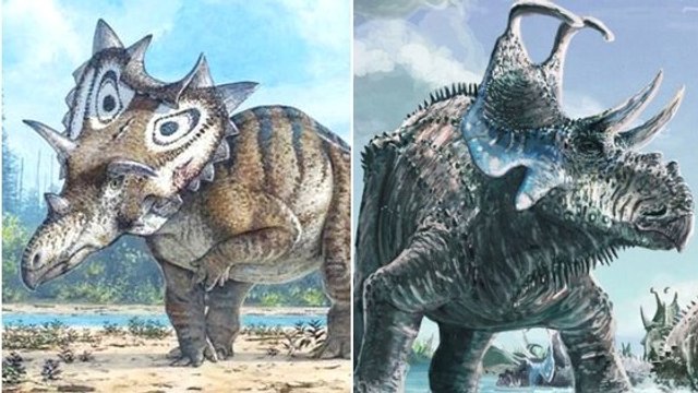 Deux nouveaux dinosaures cousins du Tricératops découverts aux Etats-Unis