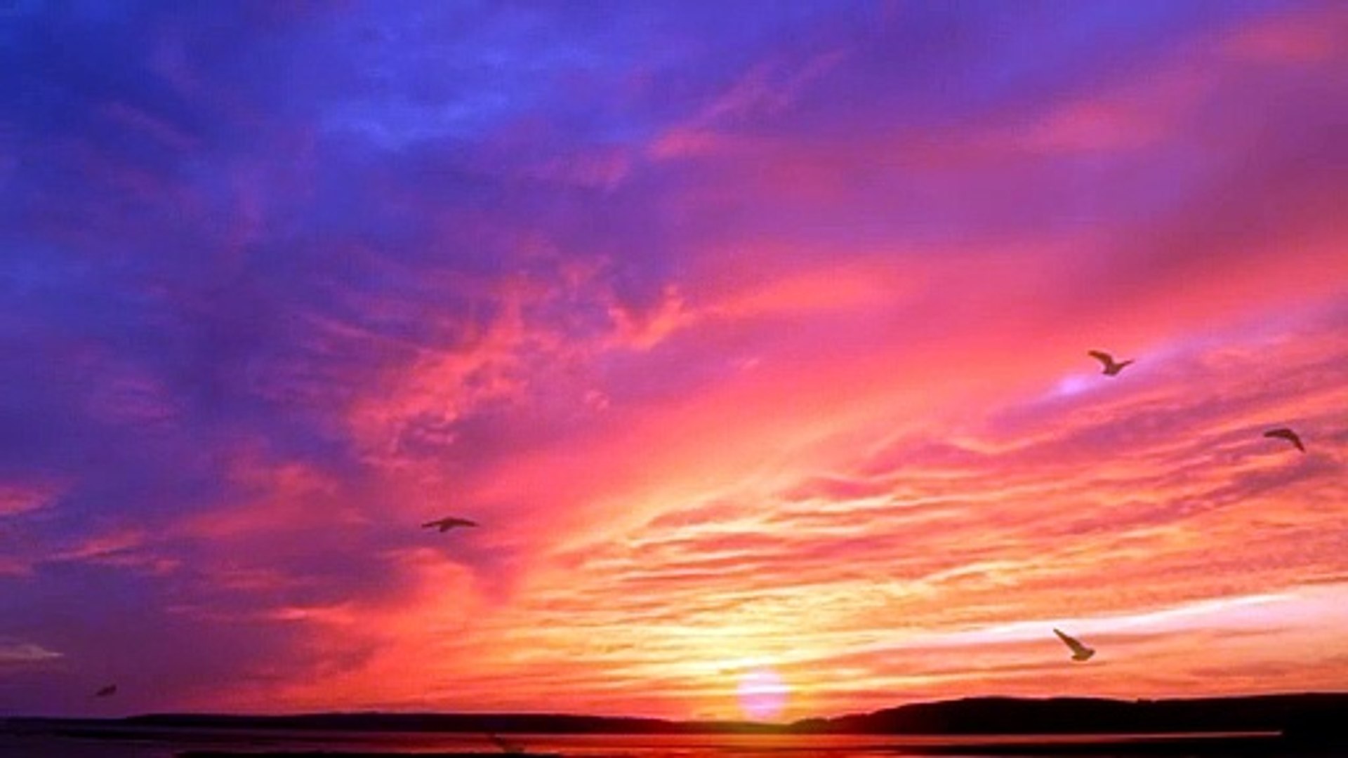 Study Music, Concentration, Focus Music, Relaxing Music, Meditation, Work, Calm Music, Studymusic