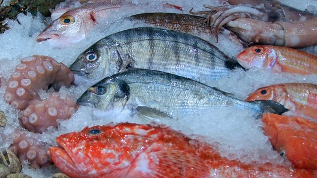 La France a déjà épuisé tout le stock annuel de poissons qu'il y a dans ses océans